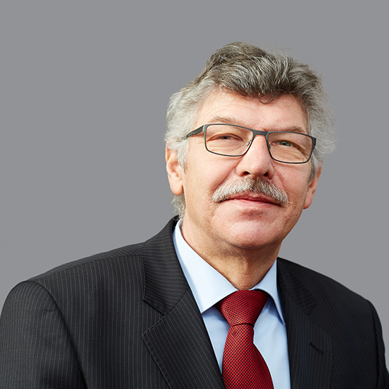 Georg Trapp Portrait - Steuerberater